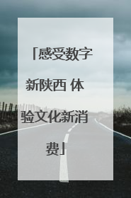 感受数字新陕西 体验文化新消费
