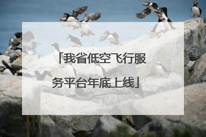 我省低空飞行服务平台年底上线