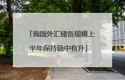 我国外汇储备规模上半年保持稳中有升