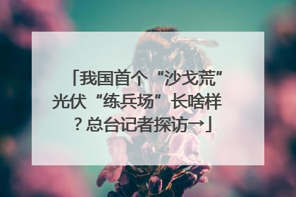 我国首个“沙戈荒”光伏“练兵场”长啥样？总台记者探访→