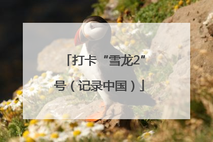 打卡“雪龙2”号（记录中国）