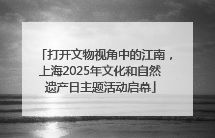 打开文物视角中的江南，上海2025年文化和自然遗产日主题活动启幕
