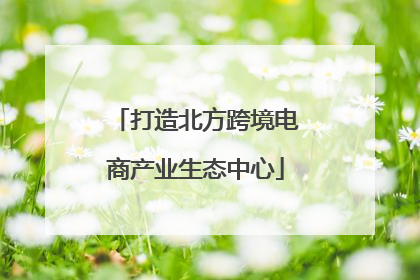 打造北方跨境电商产业生态中心