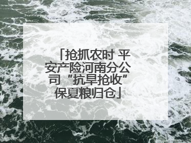 抢抓农时 平安产险河南分公司“抗旱抢收”保夏粮归仓