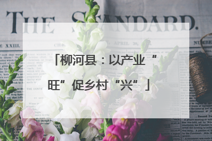 柳河县：以产业“旺”促乡村“兴”