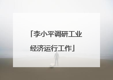 李小平调研工业经济运行工作