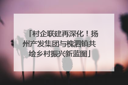 村企联建再深化！扬州产发集团与槐泗镇共绘乡村振兴新蓝图