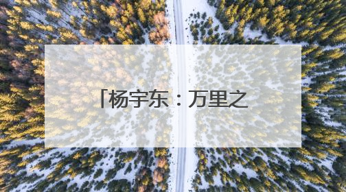 杨宇东：万里之外的灯光｜序言