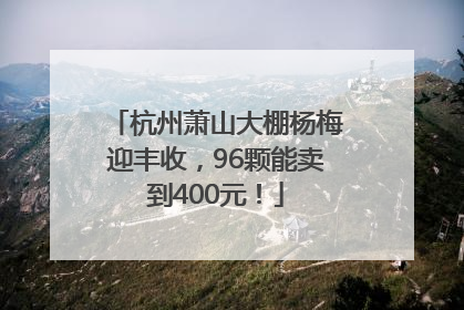 杭州萧山大棚杨梅迎丰收，96颗能卖到400元！