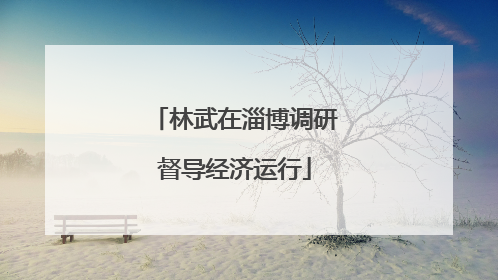 林武在淄博调研督导经济运行