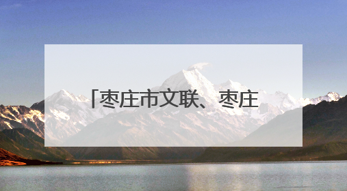 枣庄市文联、枣庄市档案馆举办“文润枣庄·艺联万家”文艺志愿者走进档案馆主题活动