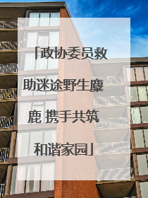政协委员救助迷途野生麋鹿 携手共筑和谐家园