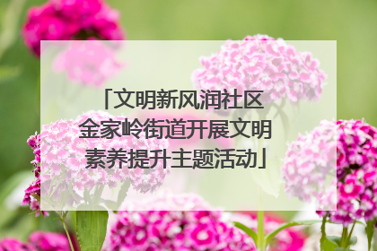 文明新风润社区 金家岭街道开展文明素养提升主题活动