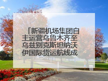 新疆机场集团自主运营乌鲁木齐至乌兹别克斯坦纳沃伊国际货运航线成功首航