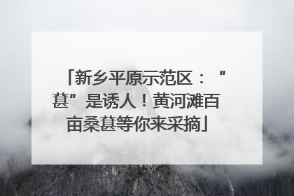 新乡平原示范区：“葚”是诱人！黄河滩百亩桑葚等你来采摘