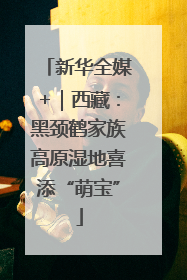 新华全媒+｜西藏：黑颈鹤家族高原湿地喜添“萌宝”