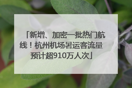 新增、加密一批热门航线！杭州机场暑运客流量预计超910万人次