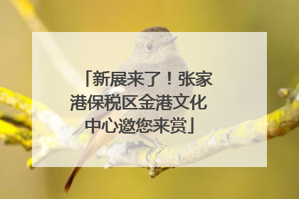 新展来了！张家港保税区金港文化中心邀您来赏