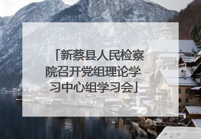 新蔡县人民检察院召开党组理论学习中心组学习会