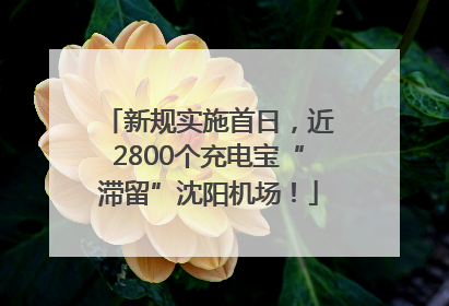 新规实施首日，近2800个充电宝“滞留”沈阳机场！