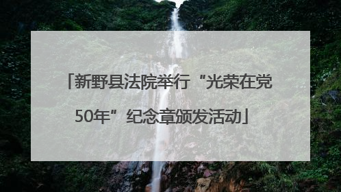 新野县法院举行“光荣在党50年”纪念章颁发活动