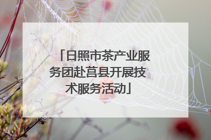 日照市茶产业服务团赴莒县开展技术服务活动