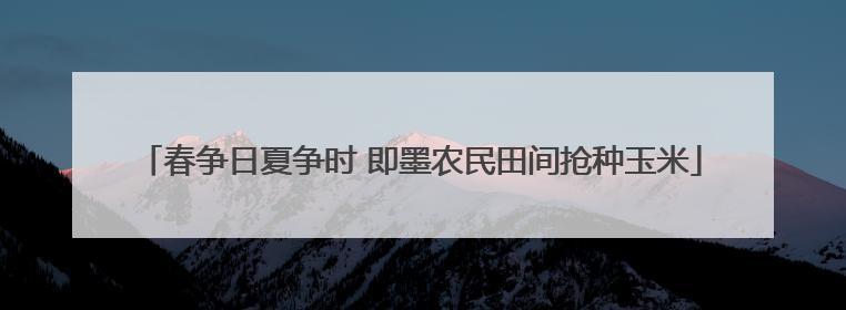 春争日夏争时 即墨农民田间抢种玉米
