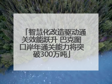 智慧化改造驱动通关效能跃升 巴克图口岸年通关能力将突破300万吨
