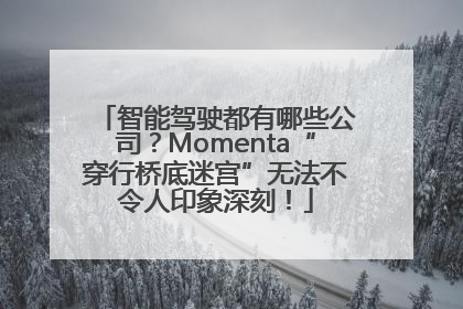 智能驾驶都有哪些公司？Momenta“穿行桥底迷宫”无法不令人印象深刻！