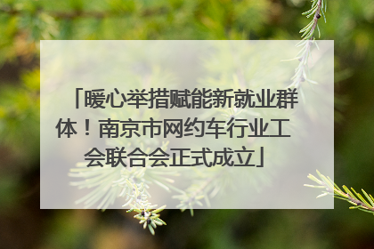 暖心举措赋能新就业群体！南京市网约车行业工会联合会正式成立