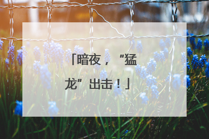 暗夜，“猛龙”出击！