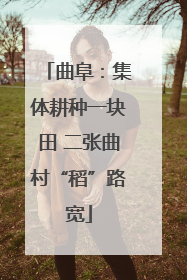 曲阜：集体耕种一块田 二张曲村“稻”路宽