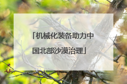 机械化装备助力中国北部沙漠治理