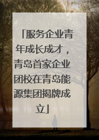 服务企业青年成长成才，青岛首家企业团校在青岛能源集团揭牌成立