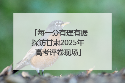 每一分有理有据 探访甘肃2025年高考评卷现场
