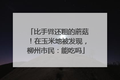 比手臂还粗的蘑菇！在玉米地被发现，柳州市民：能吃吗