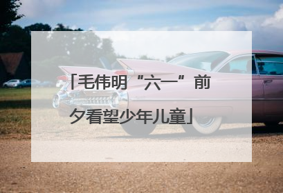 毛伟明“六一”前夕看望少年儿童