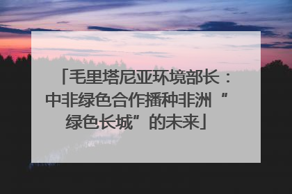 毛里塔尼亚环境部长：中非绿色合作播种非洲“绿色长城”的未来