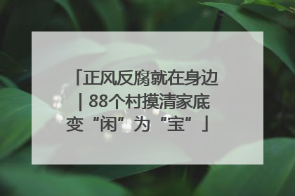 正风反腐就在身边｜88个村摸清家底变“闲”为“宝”
