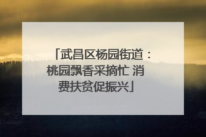 武昌区杨园街道：桃园飘香采摘忙 消费扶贫促振兴