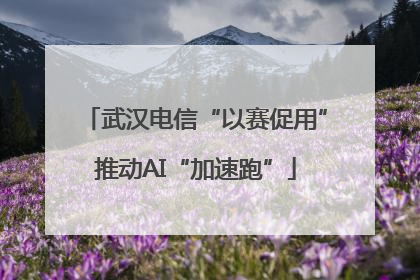 武汉电信“以赛促用”推动AI“加速跑”