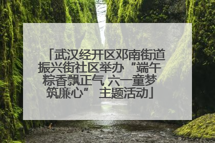 武汉经开区邓南街道振兴街社区举办“端午粽香飘正气 六一童梦筑廉心” 主题活动