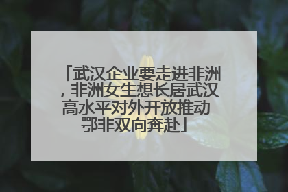 武汉企业要走进非洲，非洲女生想长居武汉 高水平对外开放推动鄂非双向奔赴