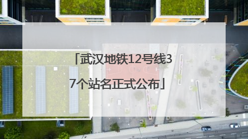 武汉地铁12号线37个站名正式公布