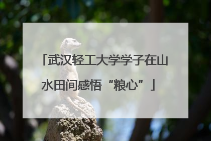 武汉轻工大学学子在山水田间感悟“粮心”