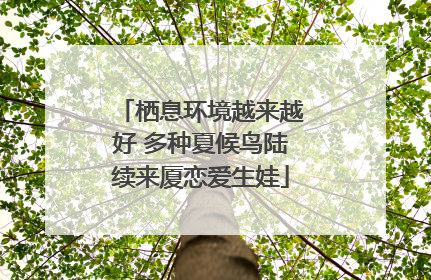 栖息环境越来越好 多种夏候鸟陆续来厦恋爱生娃