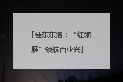 桂东东洛：“红领雁”领航百业兴