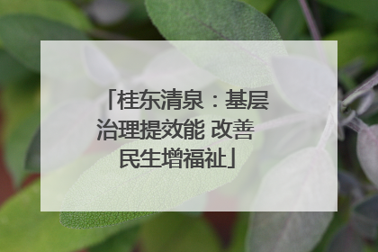 桂东清泉：基层治理提效能 改善民生增福祉