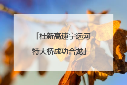 桂新高速宁远河特大桥成功合龙