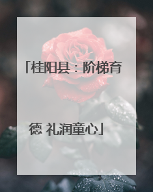 桂阳县：阶梯育德 礼润童心